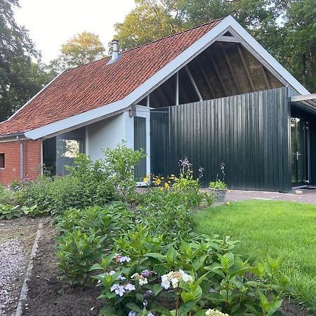 Haystackcottage Paterswolde Dış mekan fotoğraf