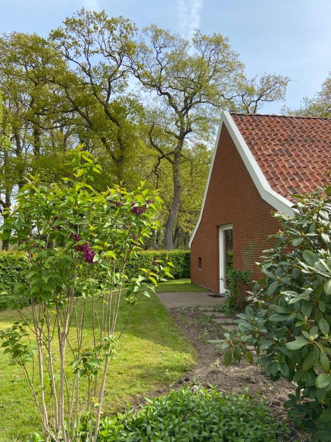 Haystackcottage Paterswolde Dış mekan fotoğraf