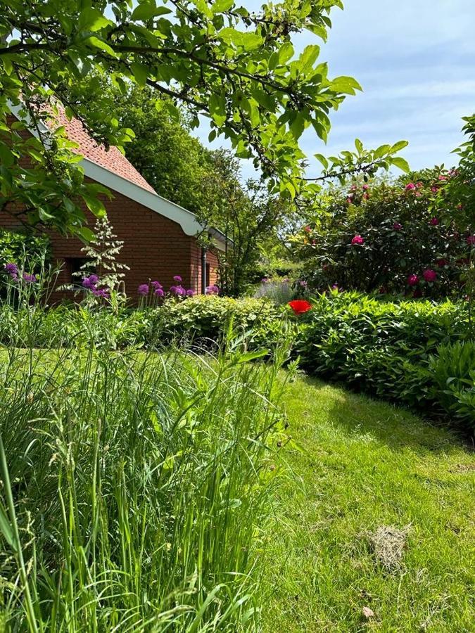 Haystackcottage Paterswolde Dış mekan fotoğraf