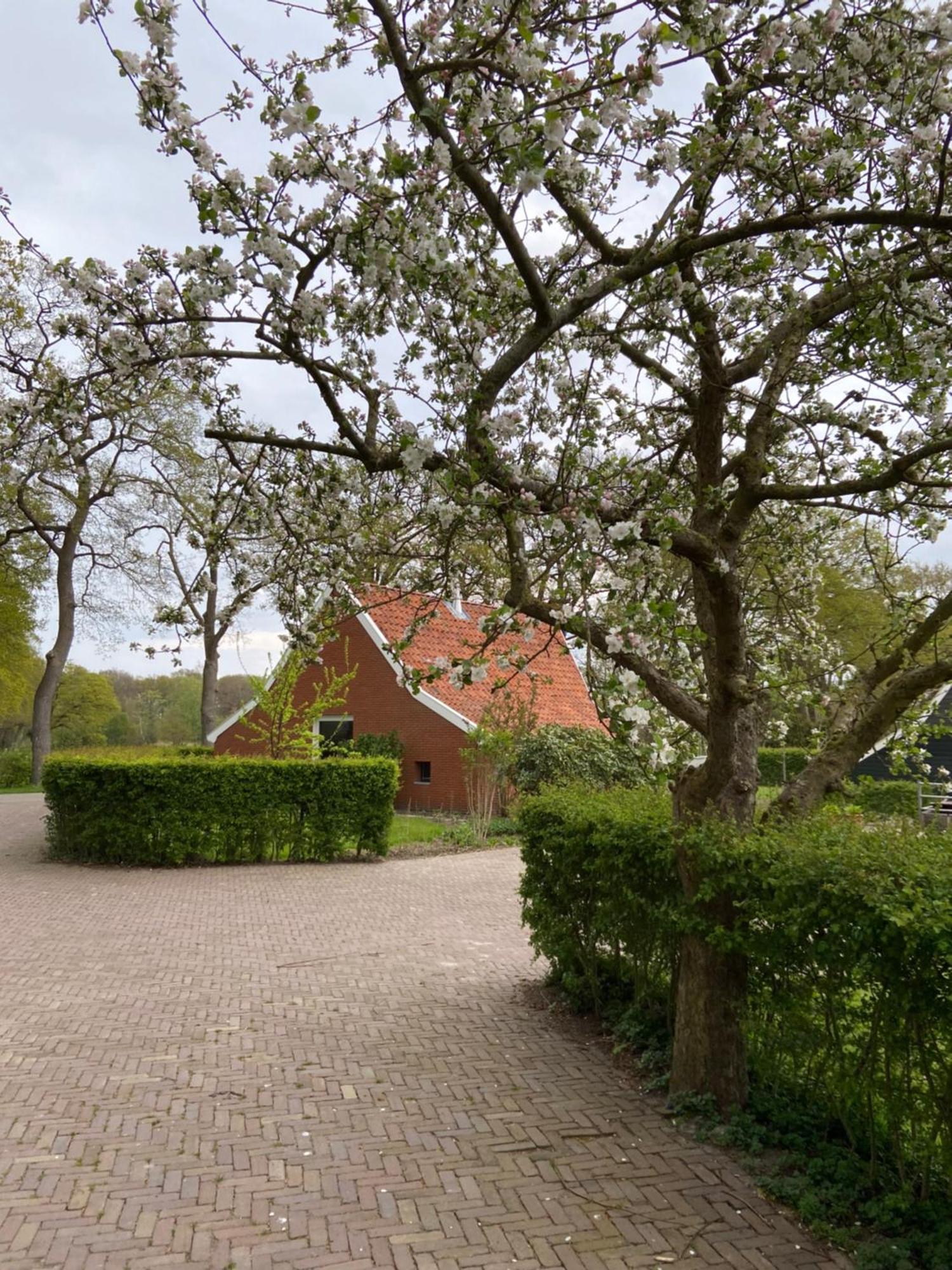 Haystackcottage Paterswolde Dış mekan fotoğraf