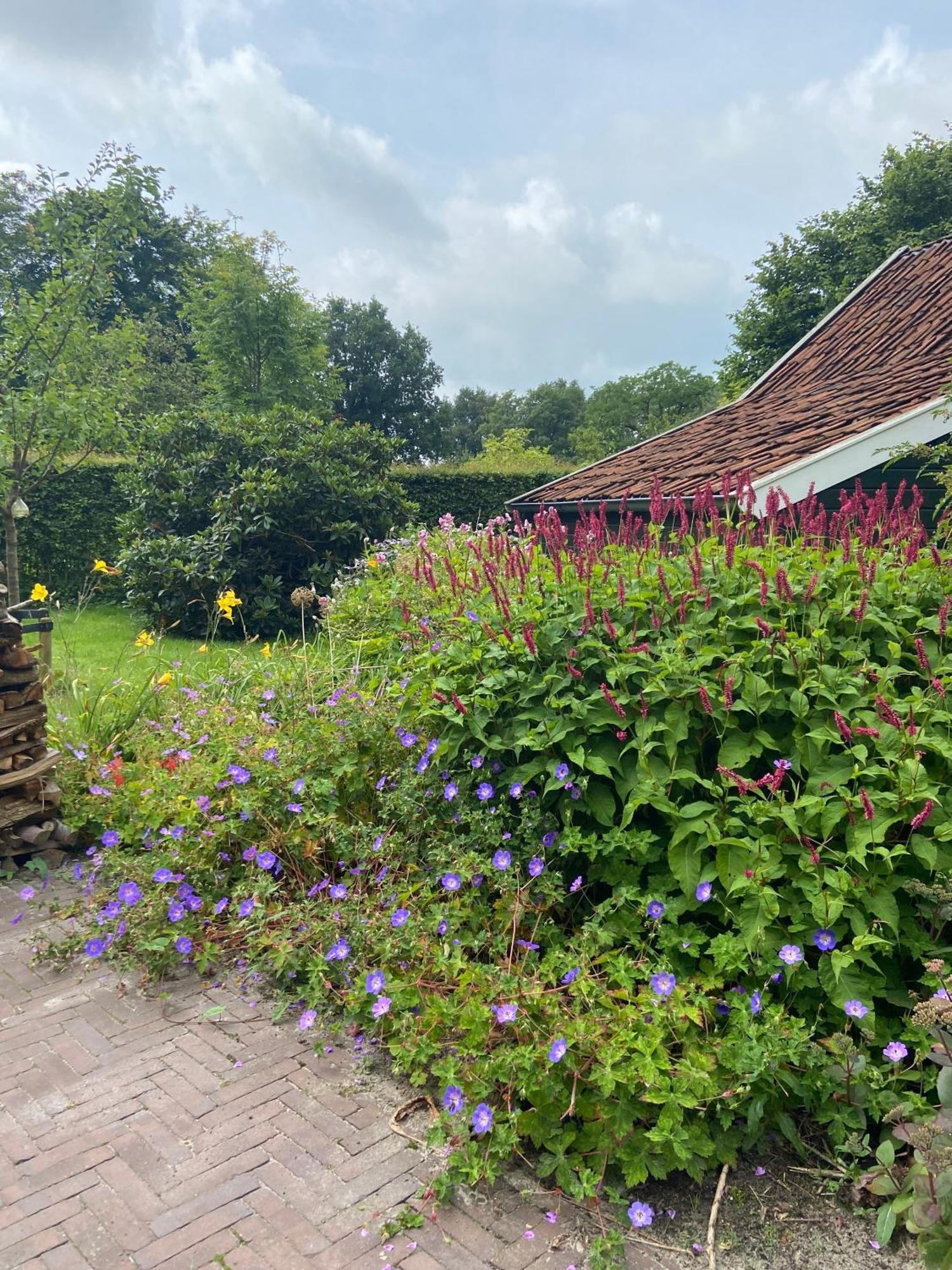 Haystackcottage Paterswolde Dış mekan fotoğraf