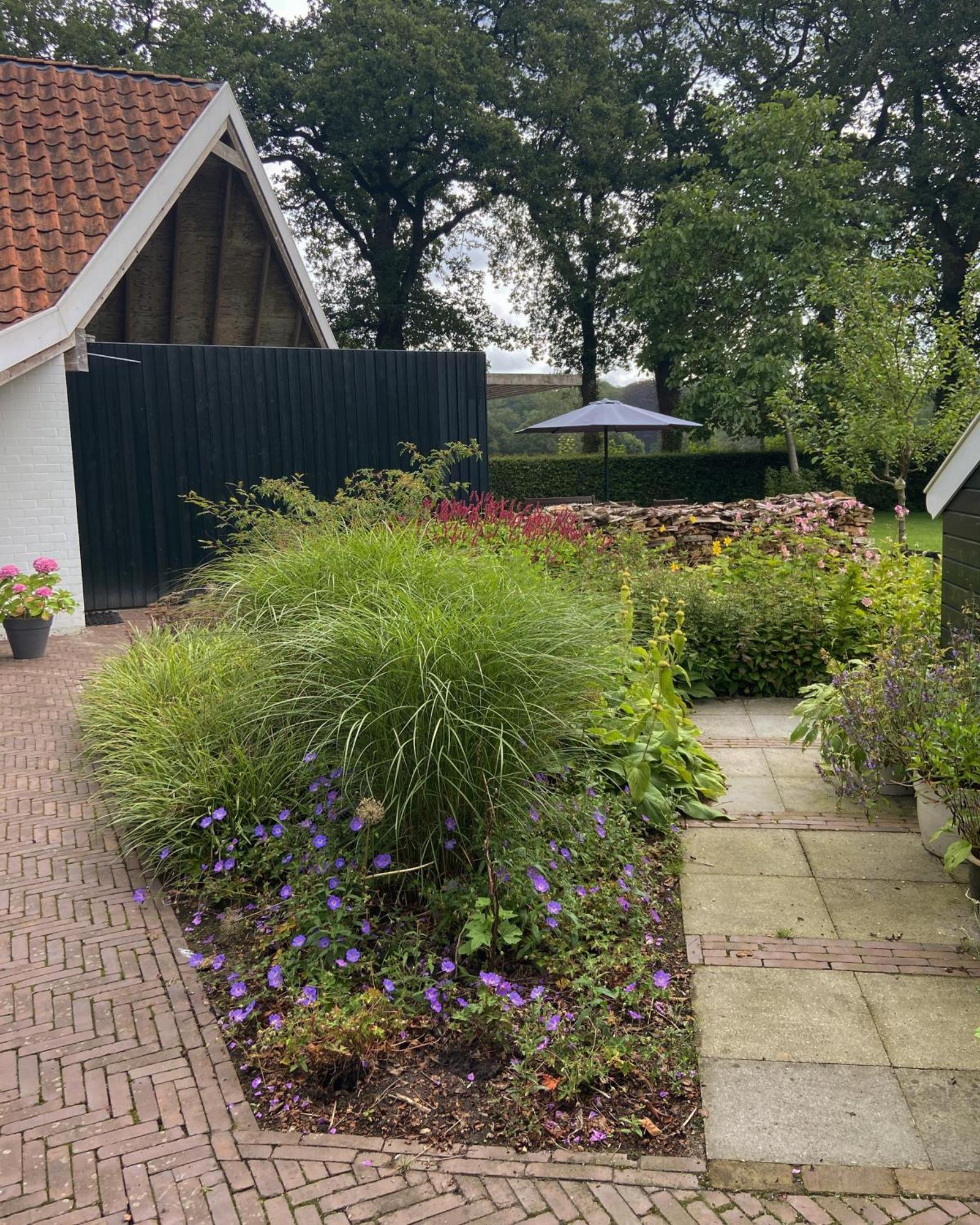 Haystackcottage Paterswolde Dış mekan fotoğraf